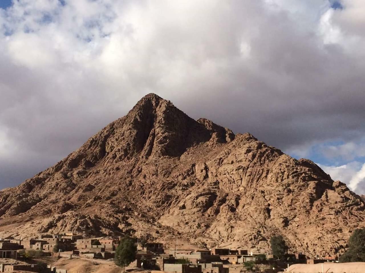 Sheikh Mousa Bedouin Camp セント・キャサリン エクステリア 写真