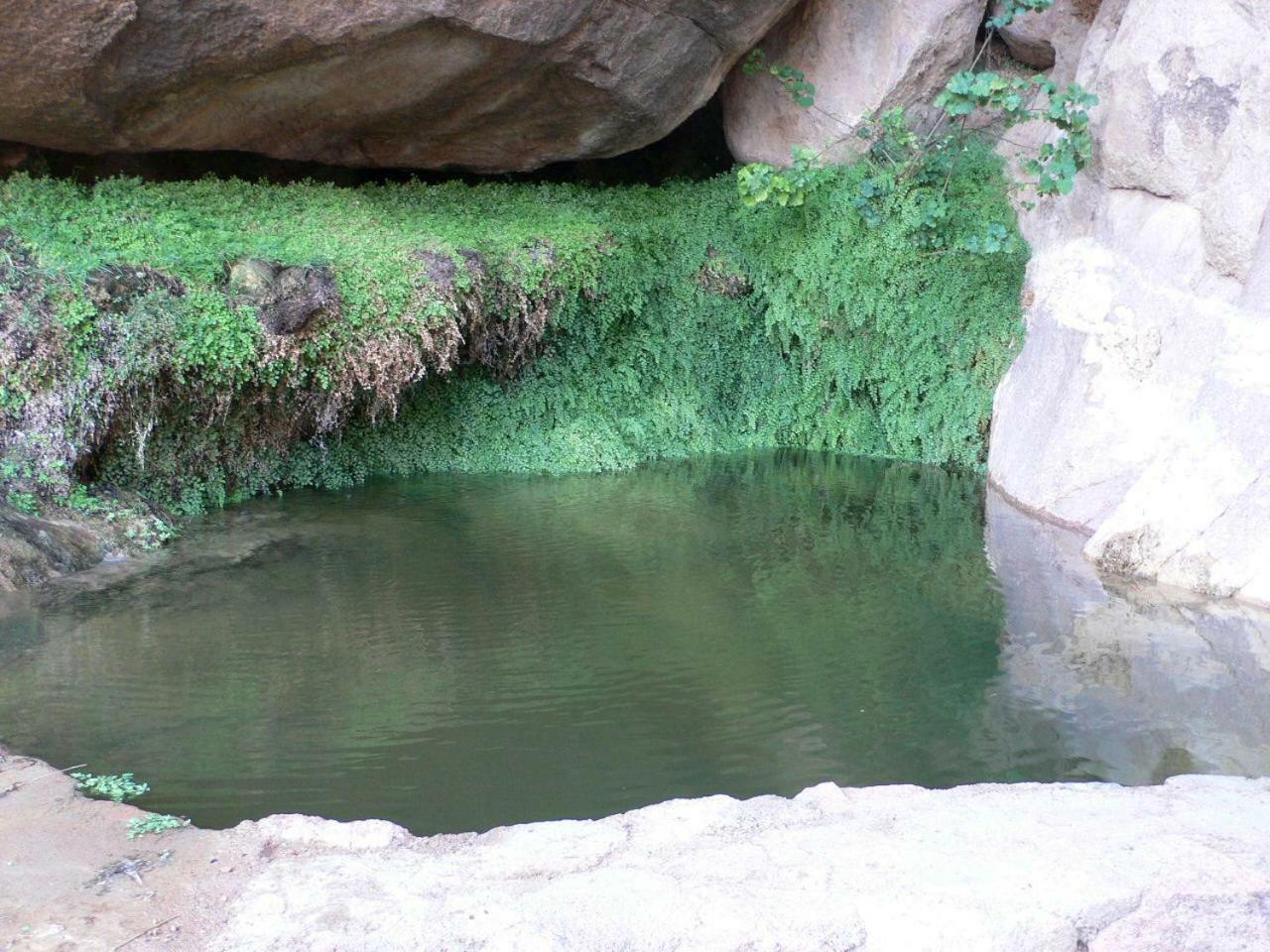 Sheikh Mousa Bedouin Camp セント・キャサリン エクステリア 写真