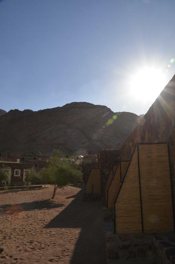 Sheikh Mousa Bedouin Camp セント・キャサリン エクステリア 写真